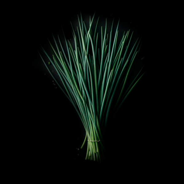 Цибуля шніт